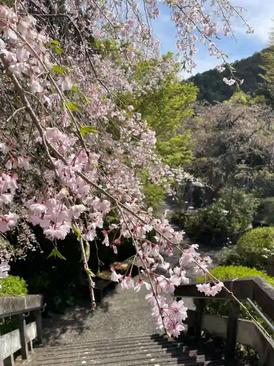 南殿順興寺(京都府)