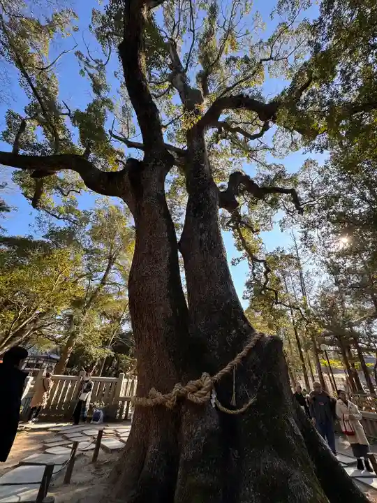 伊弉諾神宮(兵庫県)