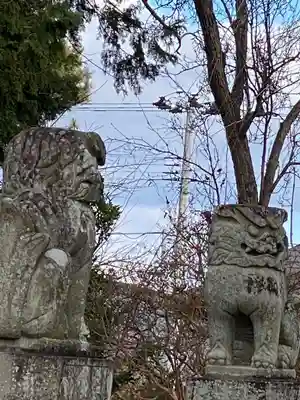 諏訪神社の狛犬