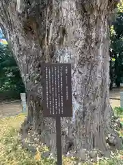 赤坂氷川神社(東京都)