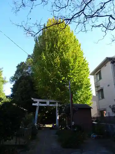 一山神社の鳥居