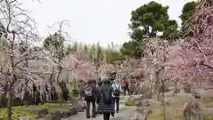 城南宮の庭園