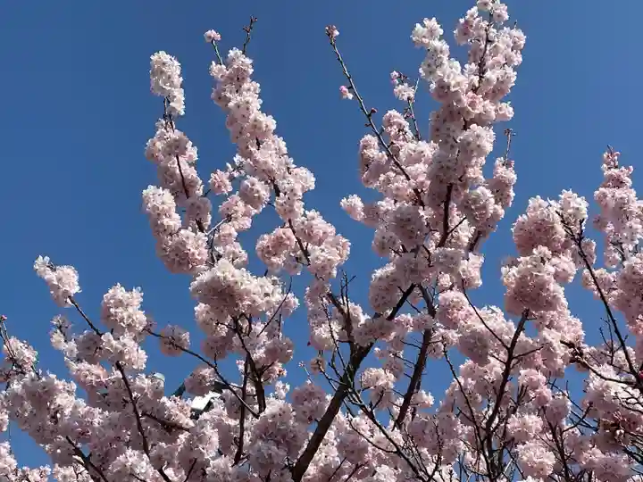 勝福寺(神奈川県)
