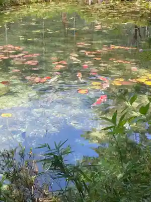 根道神社(岐阜県)