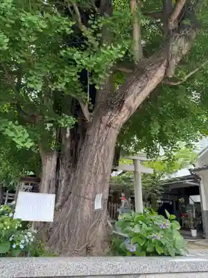飛木稲荷神社(東京都)