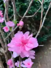 彌都加伎神社の自然