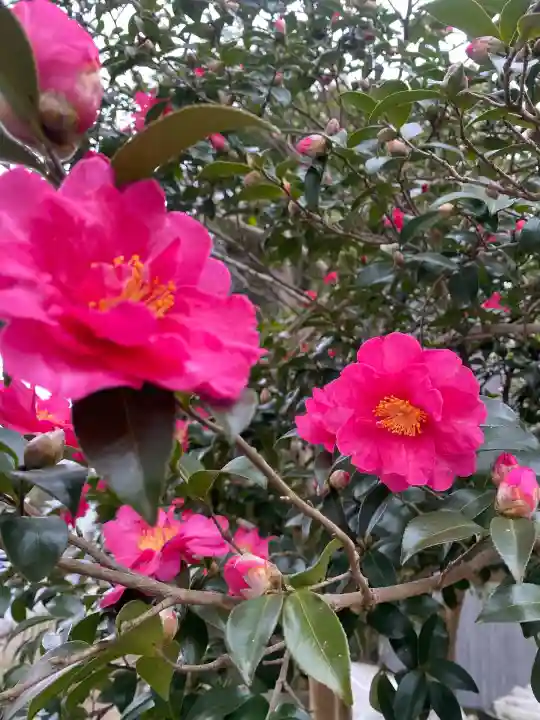 鎌数伊勢大神宮(千葉県)