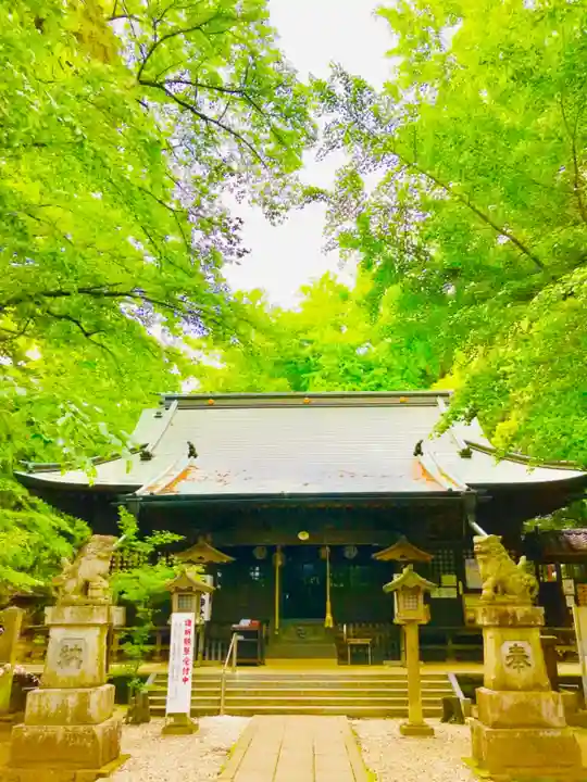 野木神社の本殿・本堂