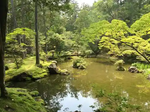 西芳寺の庭園