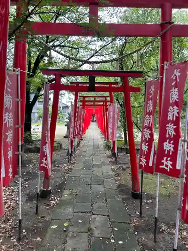 於菊稲荷神社の鳥居