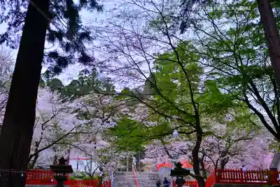 金櫻神社(山梨県)