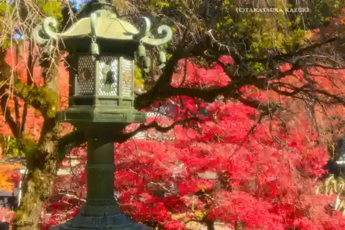 最乗寺（道了尊）(神奈川県)