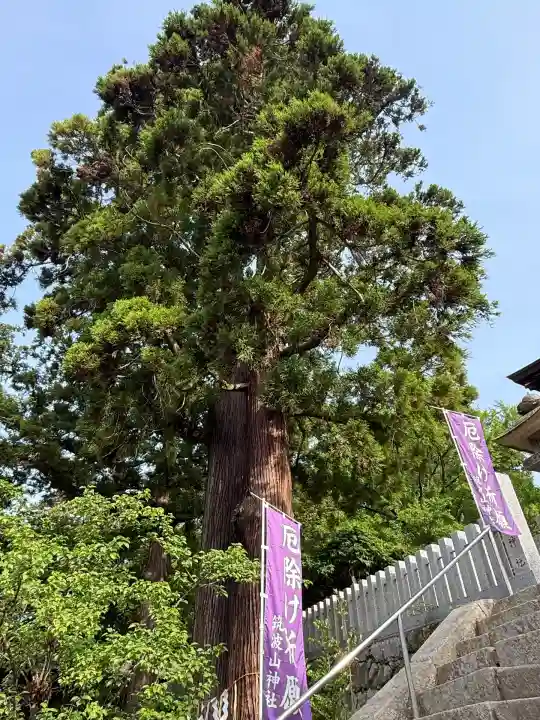 筑波山神社(茨城県)