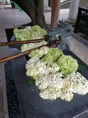 熊野神社(東京都)