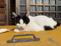 井際山 如意輪寺(愛知県)