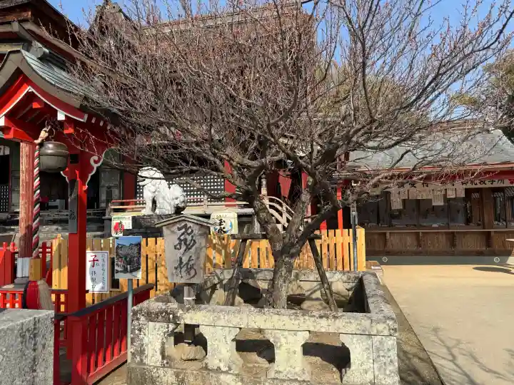 水田天満宮の{uncategorized: "未分類", other: "その他", undefined: "問題あり", building: "その他建物", grave: "お墓", sacred_gate: "鳥居", guardian: "狛犬", statue: "像", buddha: "仏像", history: "歴史", nature: "自然", garden: "庭園", animal: "動物", pagoda: "塔", temizu: "手水舎", mountain_gate: "山門・神門", sanctuary: "本殿・本堂", subordinate: "末社・摂社", art: "芸術", scenery: "景色", jizo: "地蔵", ema: "絵馬", goshuin: "御朱印", omikuji: "おみくじ", items: "授与品その他", amulet: "お守り", goshuincho: "御朱印帳", eats: "食事", festival: "お祭り", votive_dance: "神楽", shichigosan: "七五三参", wedding: "結婚式", experience: "体験その他", initially: "初詣", around: "周辺", anti_infection: "感染症対策"}