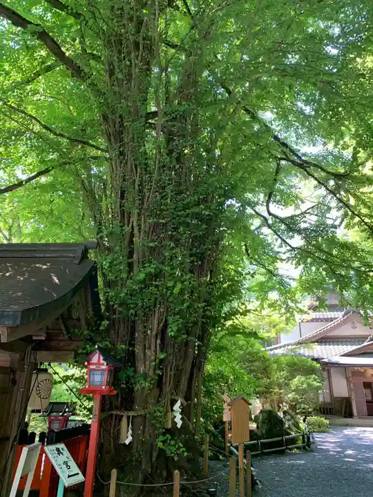 貴船神社の自然