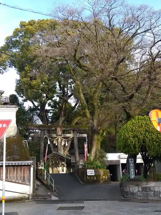 若一王子宮(高知県)