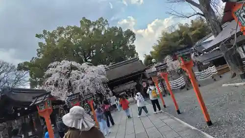 平野神社(京都府)