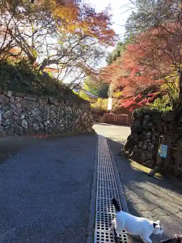 唐澤山神社(栃木県)