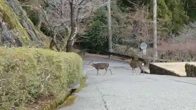青岸渡寺(和歌山県)