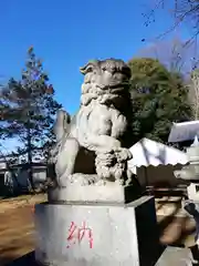 駒林八幡神社の狛犬