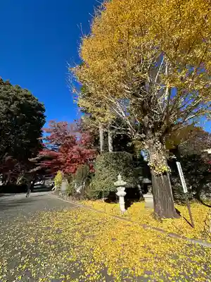 高麗神社(埼玉県)