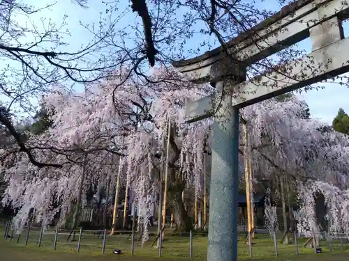 足羽神社(福井県)