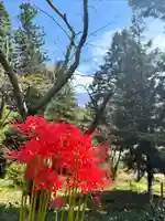 蚊里田八幡宮(長野県)