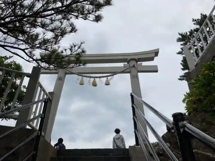 海津見神社(桂浜龍王宮)の鳥居