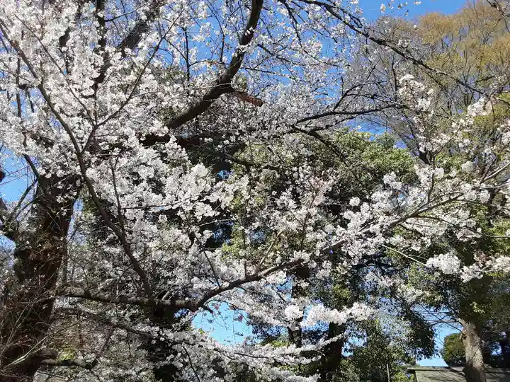 阿佐ヶ谷神明宮(東京都)