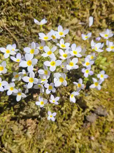 輪王寺(栃木県)