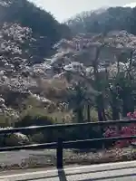 瀧不動尊の自然