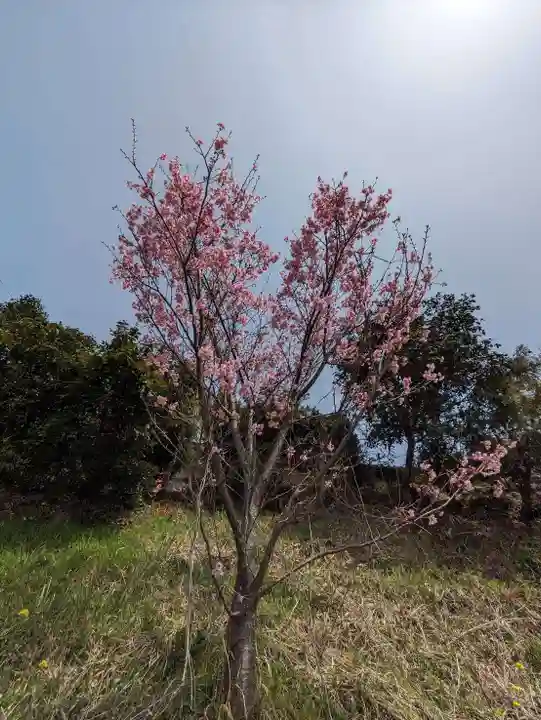 石内のお大師さん 金剛院(広島県)