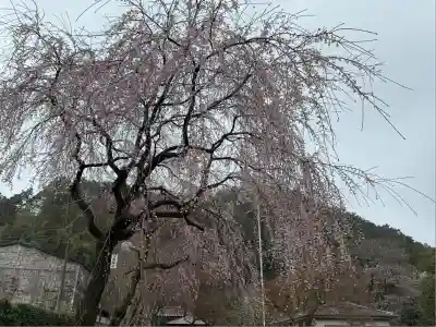 高麗神社(埼玉県)