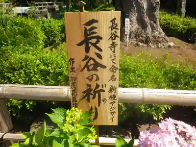 長谷寺のその他建物