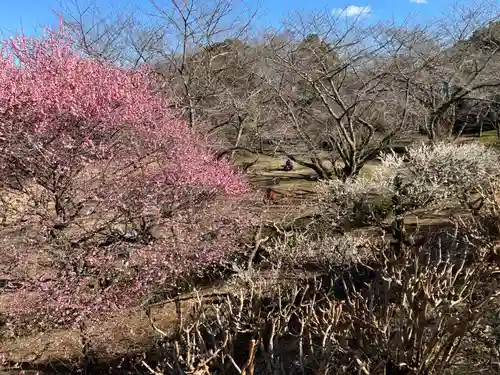靜岡縣護國神社(静岡県)