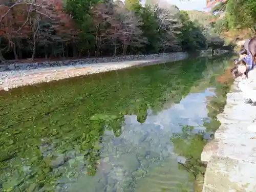 伊勢神宮内宮（皇大神宮）の自然