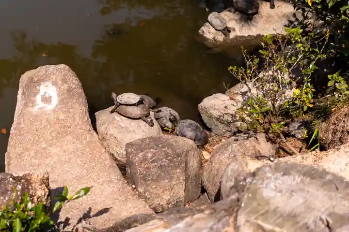 吉備津彦神社(岡山県)