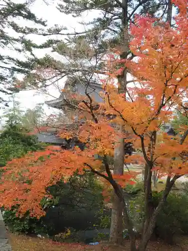 総持寺祖院の自然