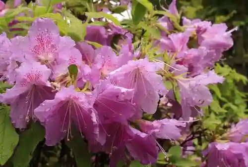 浄住寺(京都府)