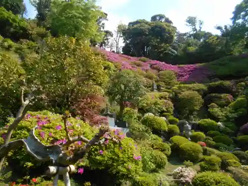 仏行寺（佛行寺）の庭園