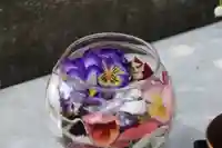 開成山大神宮の手水舎