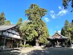 大隴神社(滋賀県)