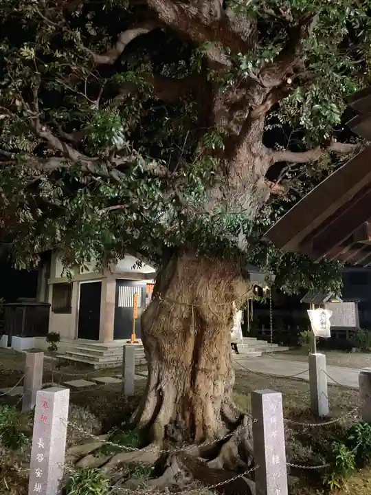 香取神社(旭町香取神社・大鳥神社)(千葉県)