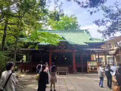 赤坂氷川神社の本殿・本堂