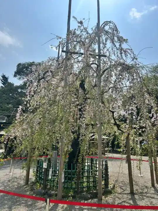 大國魂神社(東京都)