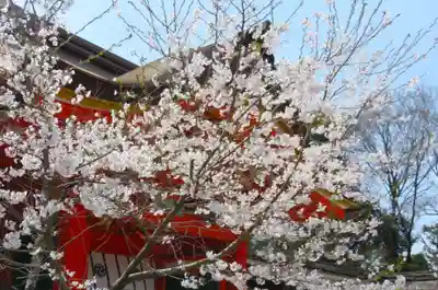 石清水八幡宮(京都府)