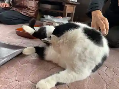 一心寺・一心禅寺(愛知県)