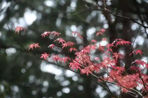 滑川神社 - 仕事と子どもの守り神の庭園